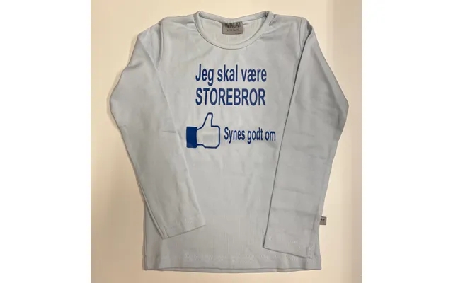 Storebror T-shirt Str 6 År product image