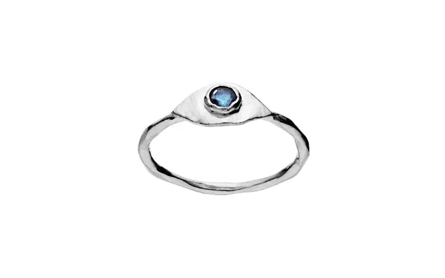 Argos Ring - Sølv product image