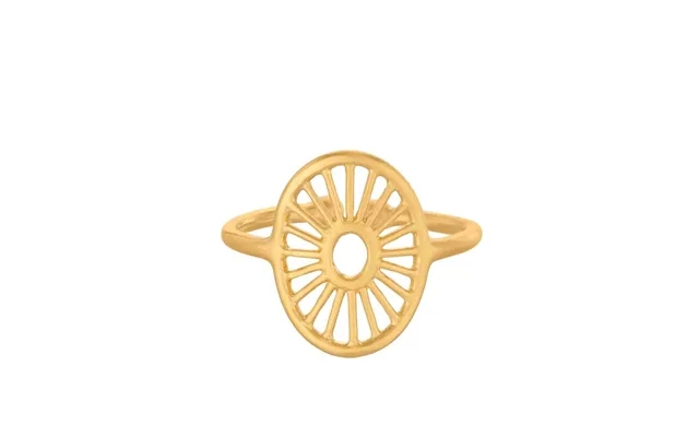 Small Daylight Ring - Forgyldt product image