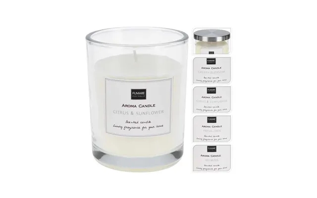 Excellent houseware scented candle ivy moss product image