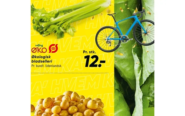 Økologisk Bladselleri product image