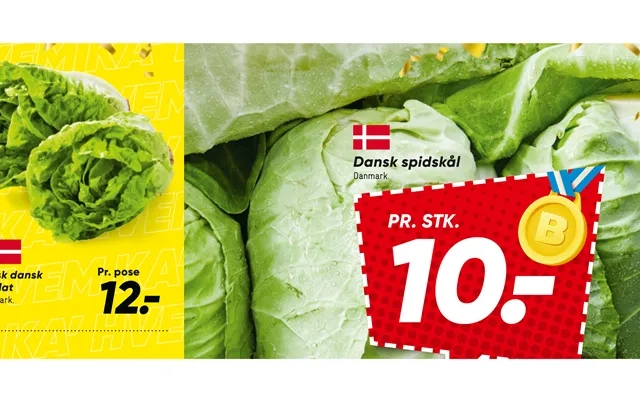 Økologisk Dansk Hjertesalat product image