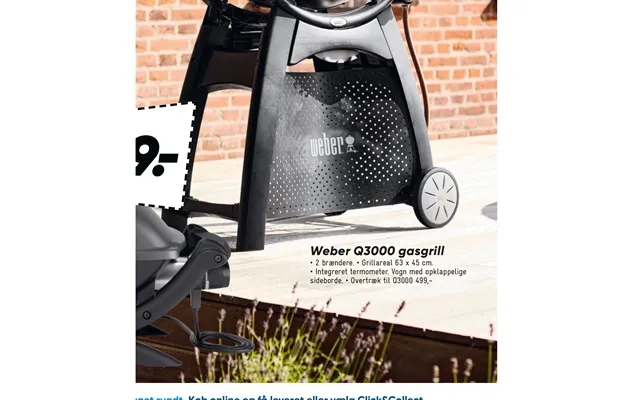 Weber Q3000 Gasgrill product image