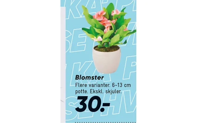 Blomster product image
