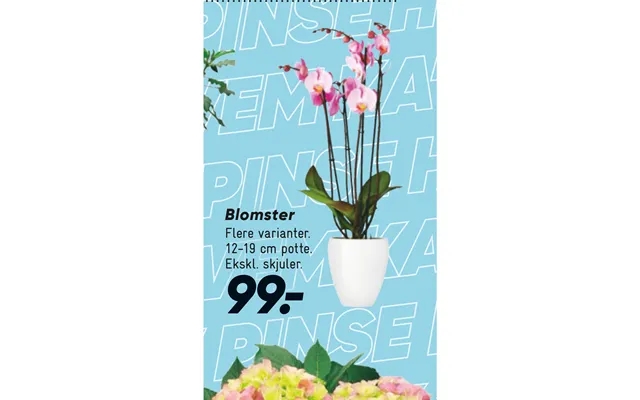 Flowers product image