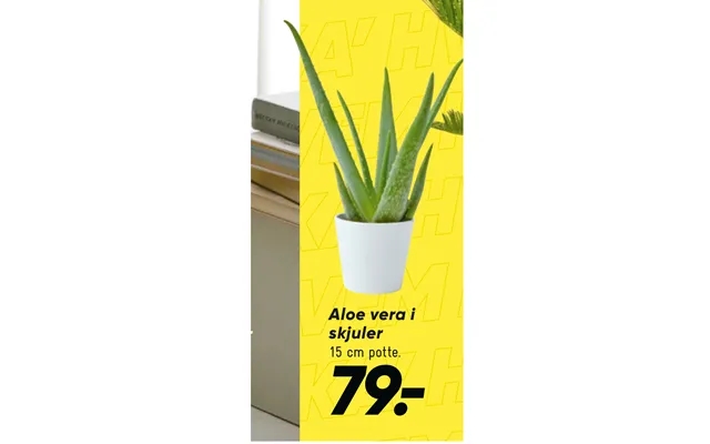 Aloe vera in hides product image