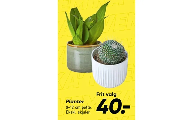Plants product image