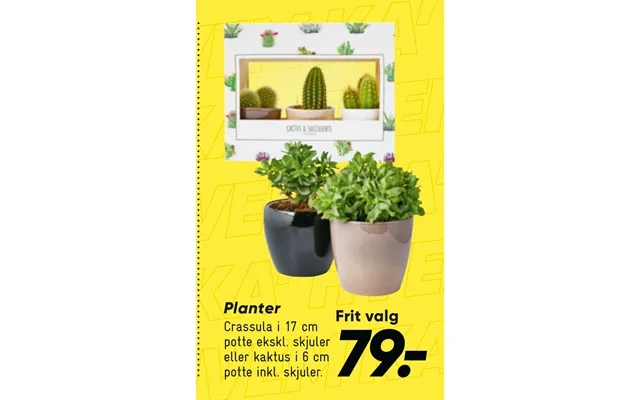 Plants product image