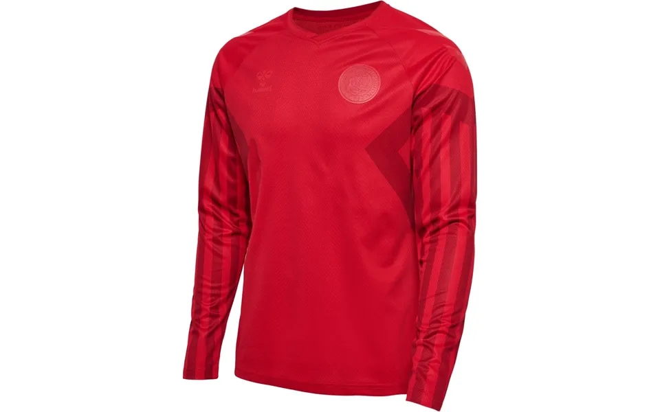 Denmark soccer jersey vm 22 - lange sleeves