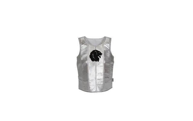 Knight armor in silver product image