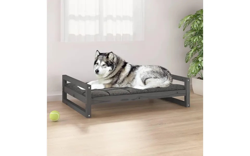 Dog bed 105,5x75,5x28 cm massively pine gray