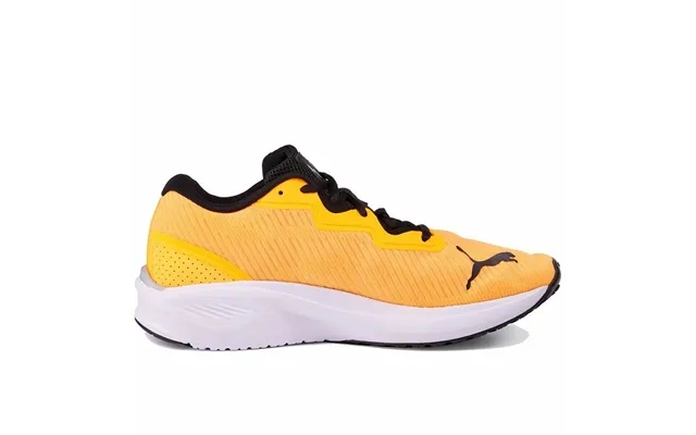 Running shoes to adults puma aviator profoam cloud orange men 42 product image