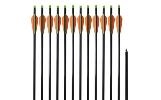 Arrows to compound bow 12 paragraph. 30 0,8 Cm fiberglass product image