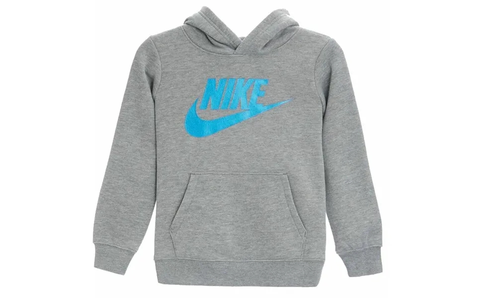 Sweaters without hood to children nike metallic hbr gifting gray 2-3 year