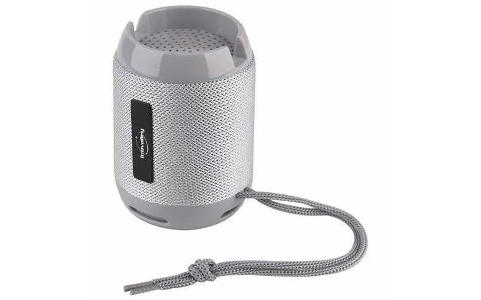Portable speaker inovalley gray