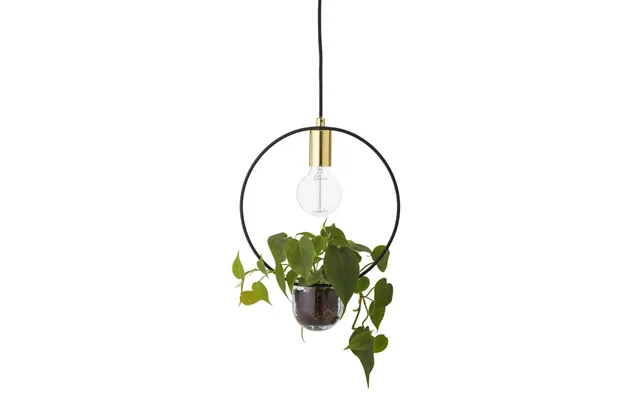 Plante Loftlampe - Cirkel product image