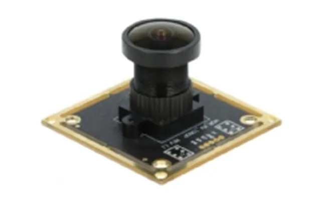 Delock usb 2.0 Camera module with wide dynamic range - surveillance camera product image
