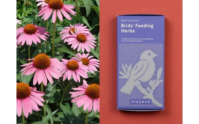 Frøsamling - feeding the birds product image