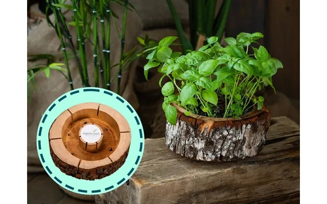 Organic pod growing kits product image