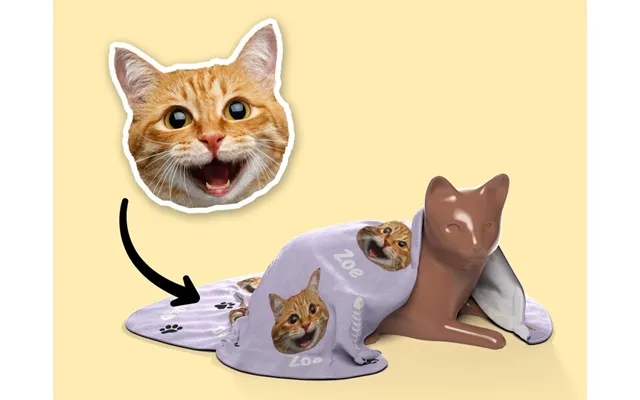 Personally cats carpet with name past, the laws picture product image