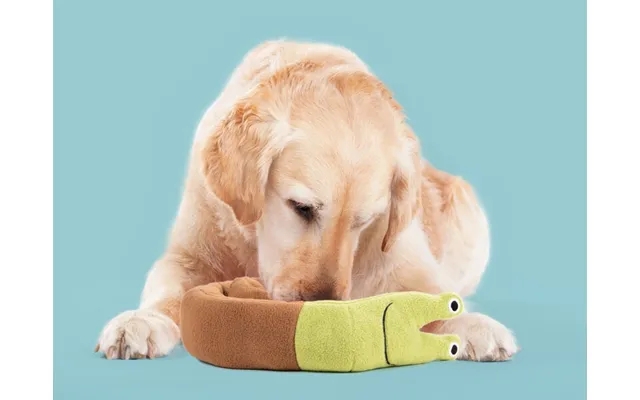Snegleaktivitetslegetøj Til Hund product image