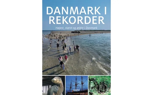 Denmark in records - bound product image