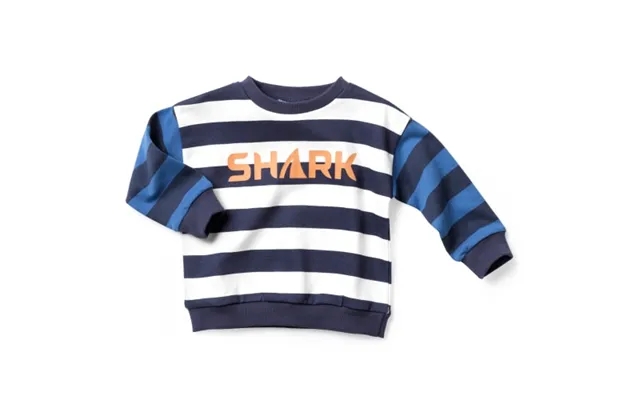 Friends sweatshirt - striped blue white black product image