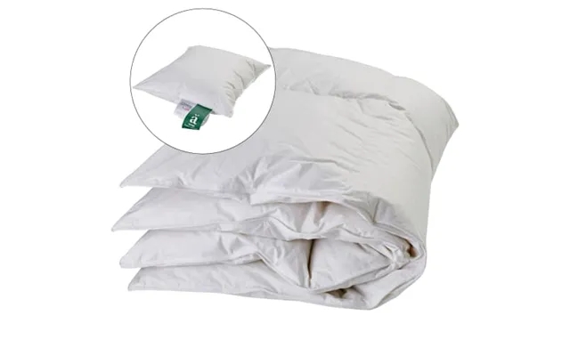 Junior duvet past, the laws - pillow - year product image