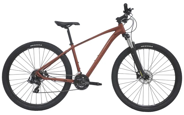 Centurion Violator Mtb 29 21g 2023 - Brun product image