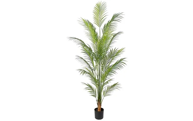 Areca palm 150 cm with 14 palm leaves product image