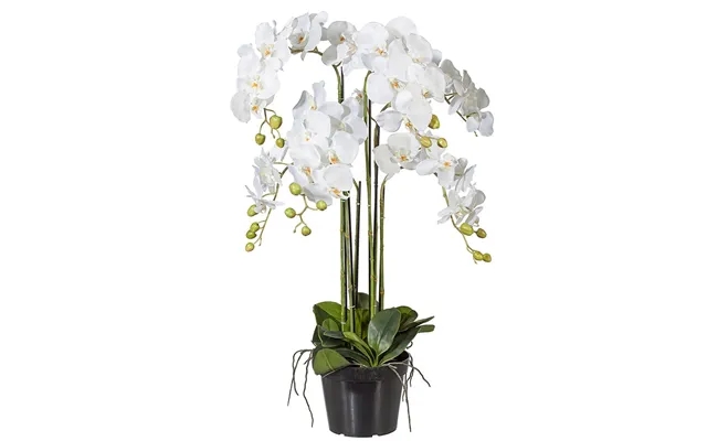 Orchid 110 cm high - artificial fight orchid product image