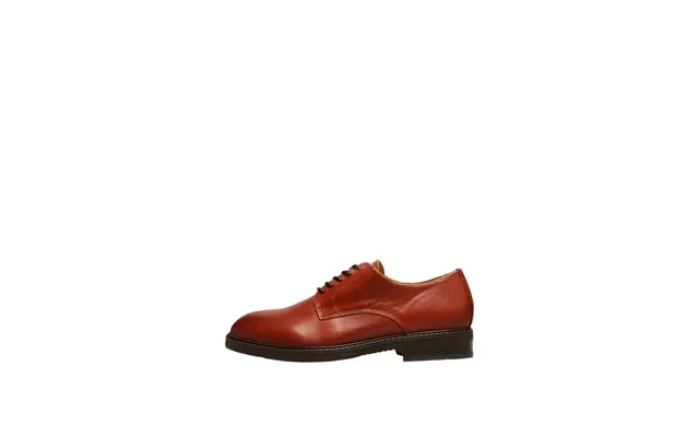 Slhblake Leather Derby Shoe B Noos product image