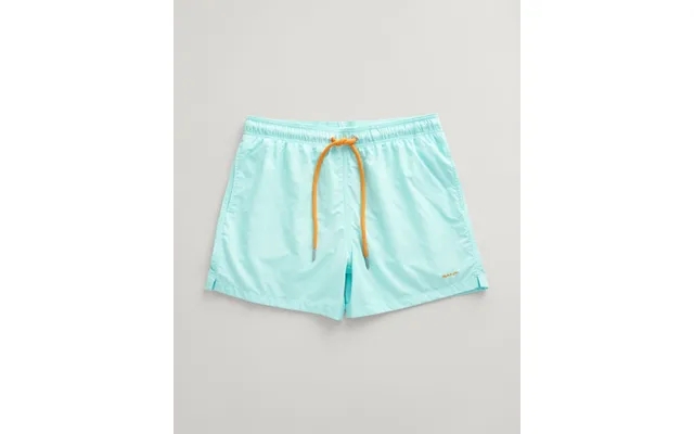 Swim Shorts product image