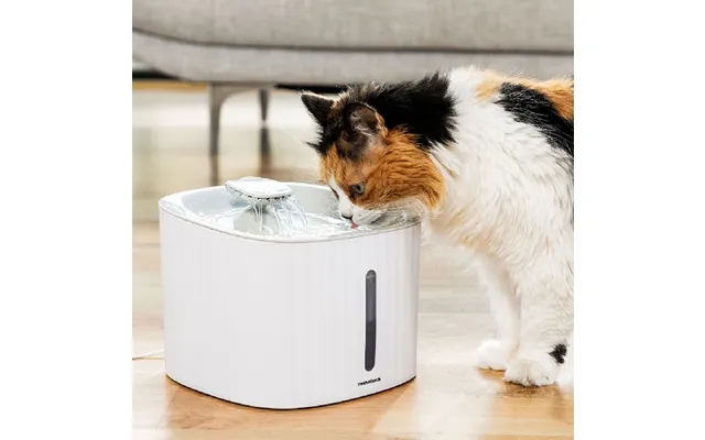 Drinking water fountain to pets drinkatt innovagoods product image