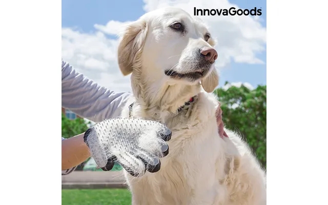 Innovagoods brush past, the laws massage glove to pets product image