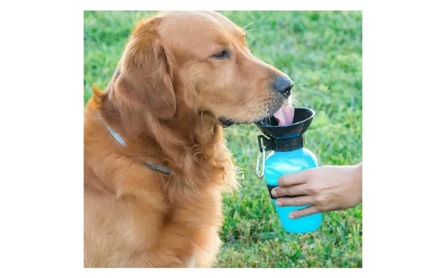 Innovagoods Vand Dispenser Flaske Til Hunde product image