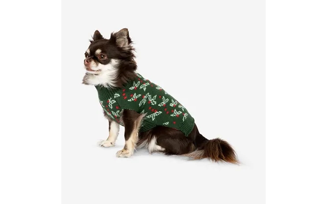 Green Christmas Sweater To One Dog product image