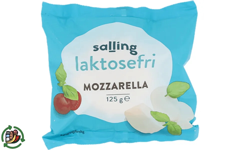 Mozzarella lactose free