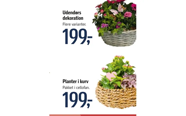 Outdoor decoration plants in basket product image
