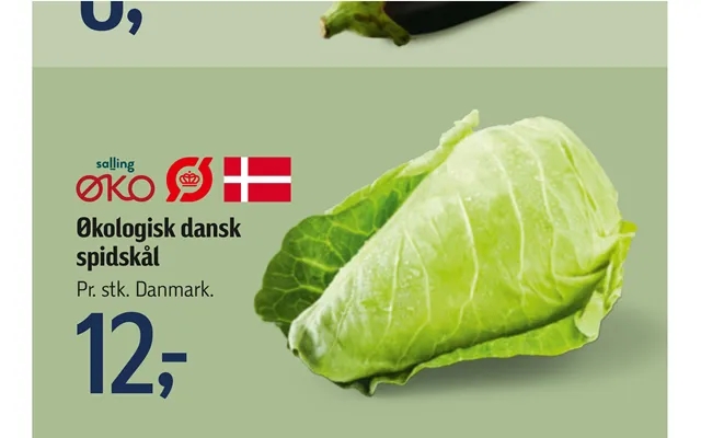 Økologisk Dansk Spidskål product image