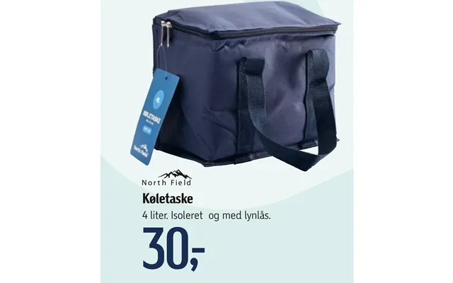 Cooler bag product image