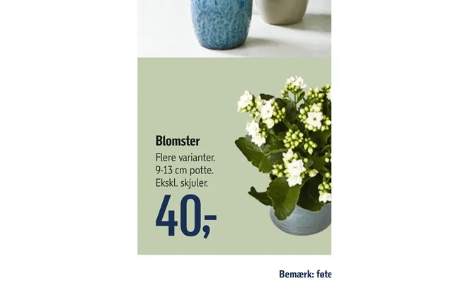 Flowers product image