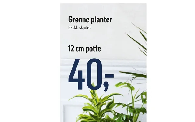 Green plants product image