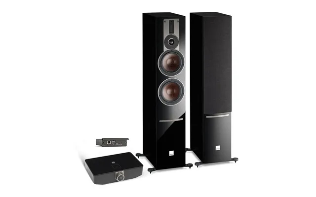 Dali Rubicon 6 C Soundhub Gulvhøjtaler Aktive product image