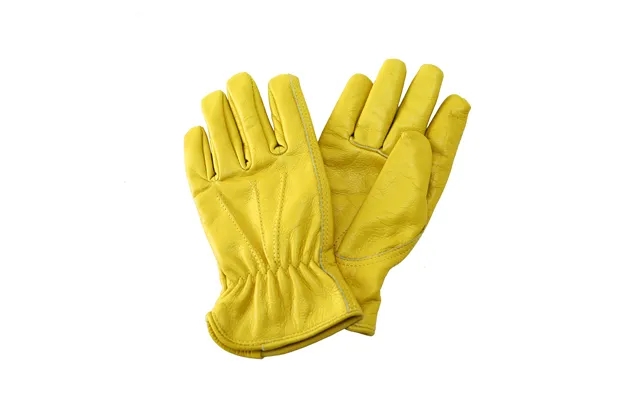 Kent & stowe luxury leather gloves - lady product image