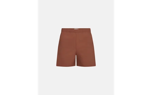 Hybrid shorts lightweight brown product image