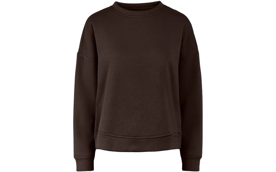 Pieces Dame Sweatshirt Pcchilli - Chicory Coffee