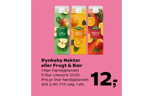 Rynkeby Nektar Eller Frugt & Bær product image