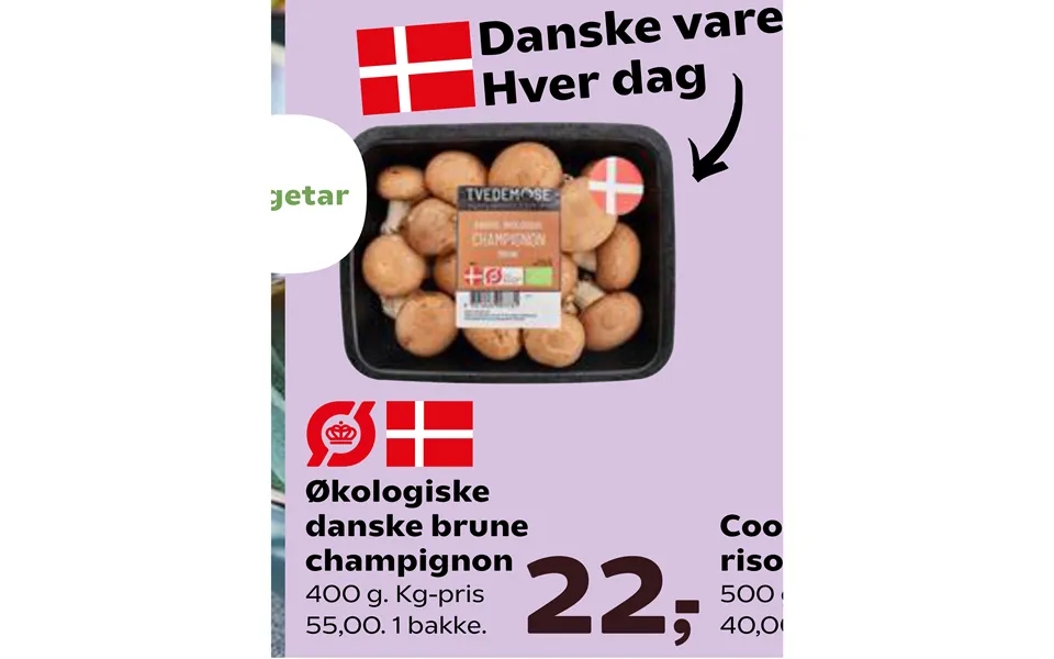 Organic danish brown mushroom