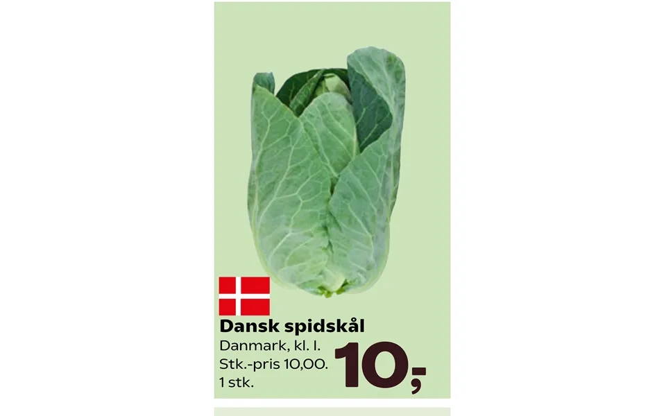 Dansk Spidskål